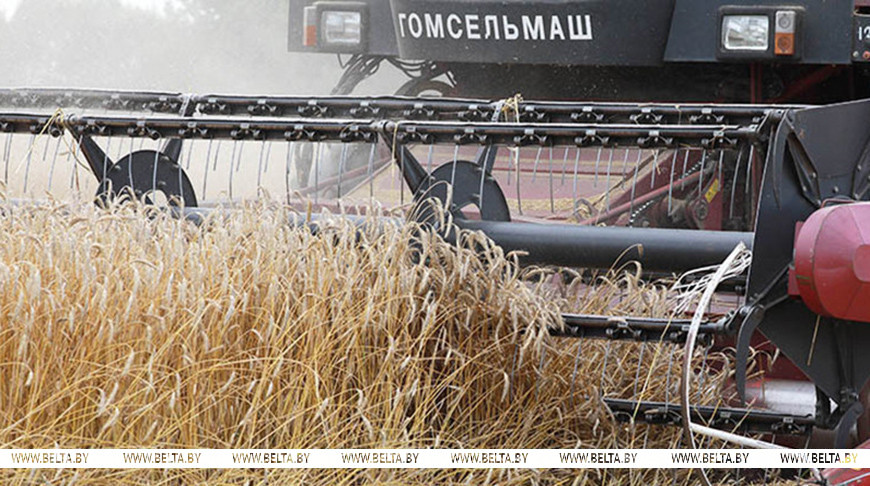 Фота з архіва