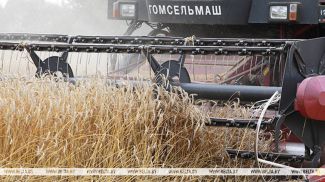 Фота з архіва