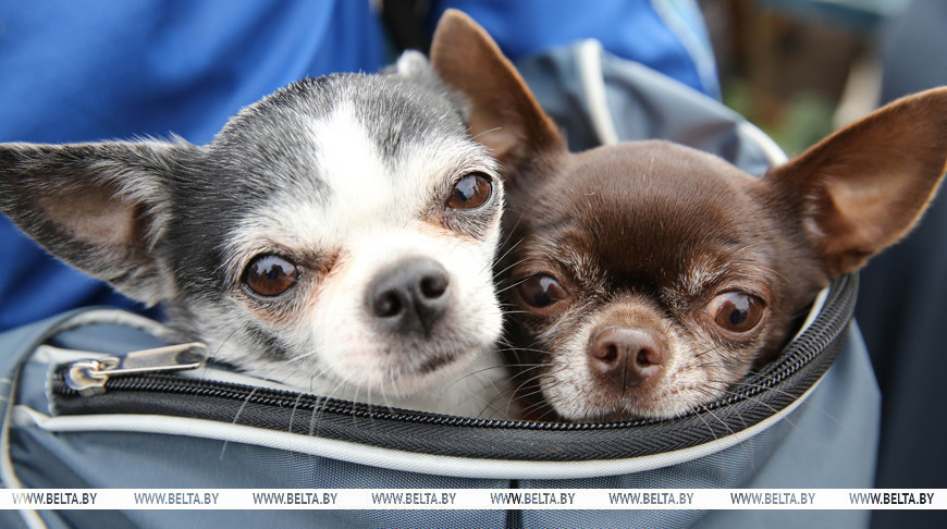 Фота з архіва