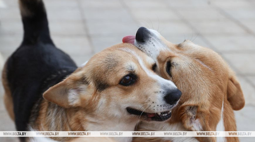 Фота з архіва