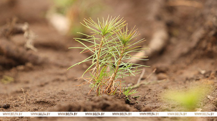 Фота з архіва