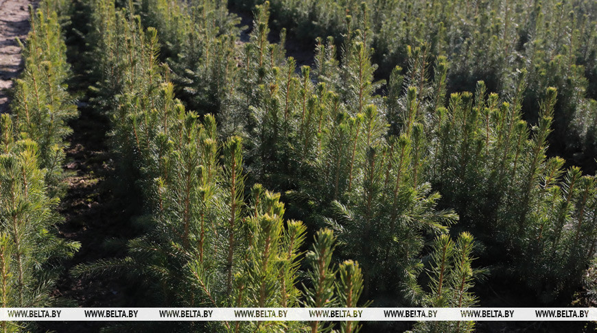 Фота з архіва