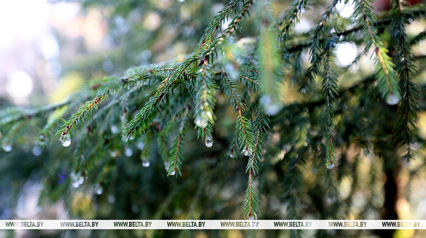 Фота з архіва