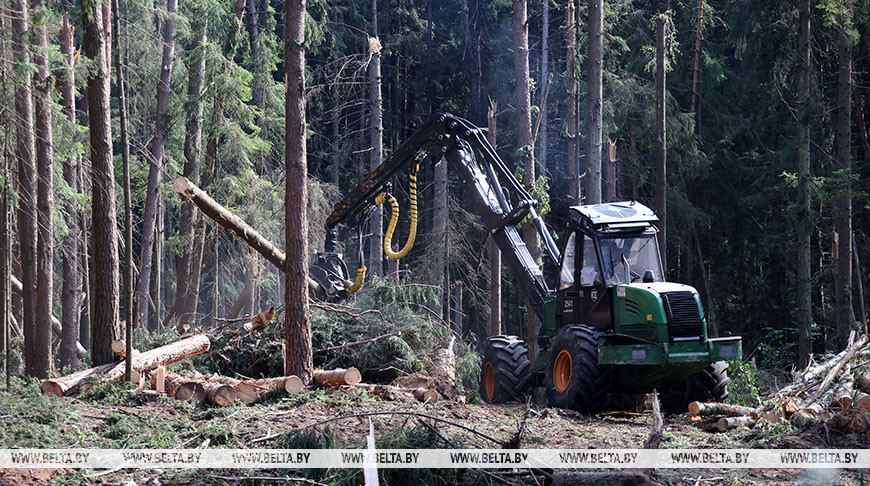 Фота з архіва