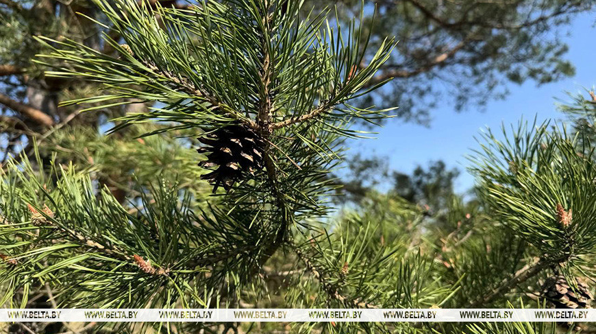 Фота з архіва