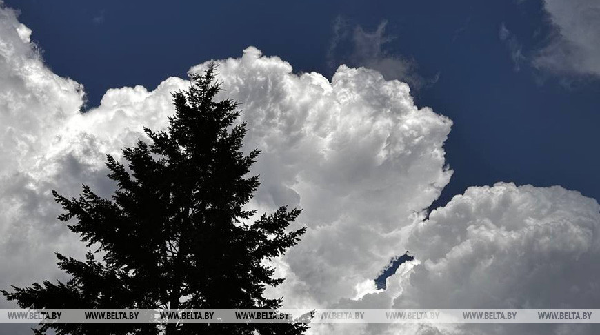 Фота з архіва