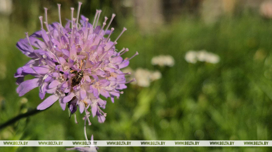 Фота з архіва