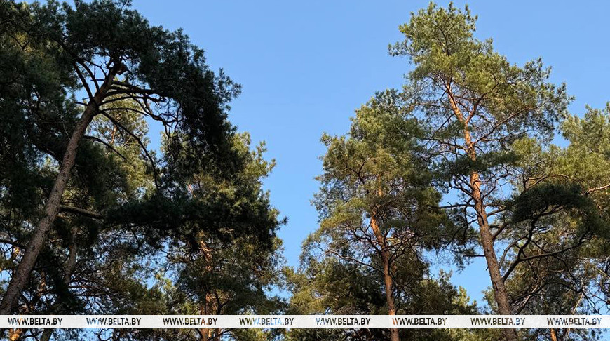 Фота з архіва