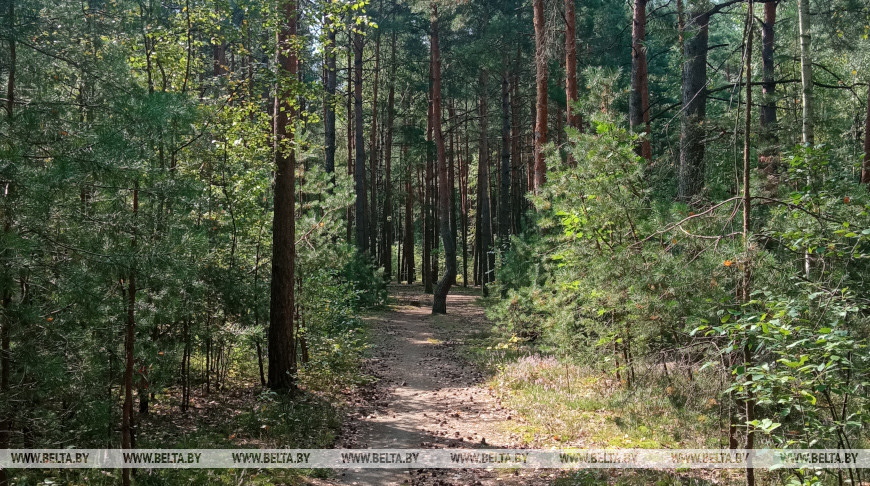 Фота з архіва