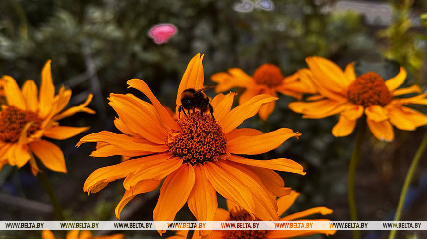 Фота з архіва