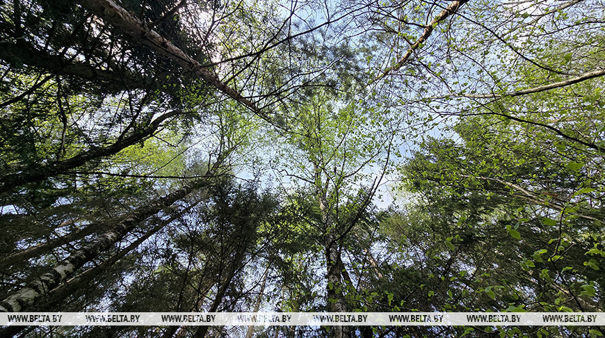 Фота з архіва