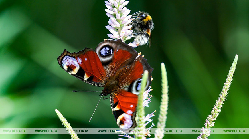 Фота з архіва