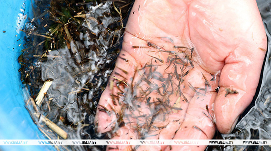 Фота з архіва