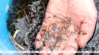 Фота з архіва