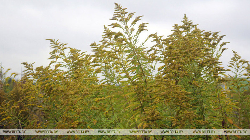 Фота з архіва