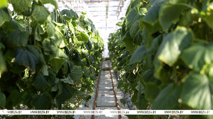 Фота з архіва