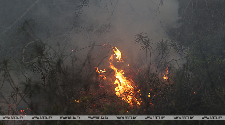 Фота з архіва
