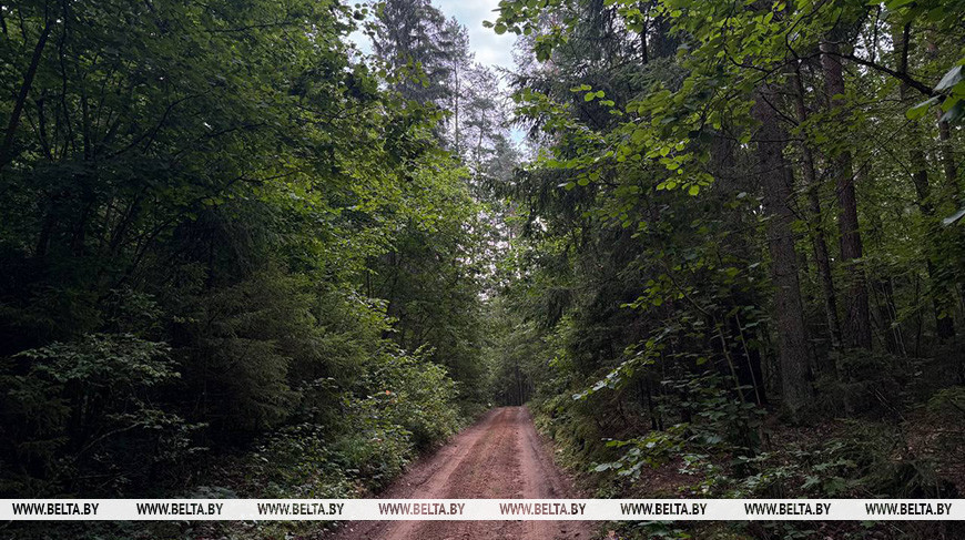 Фота з архіва