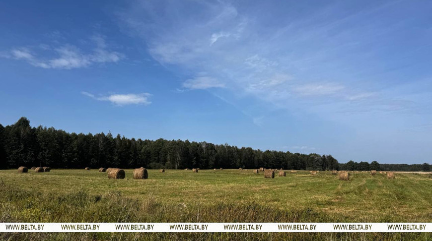 Фота з архіва