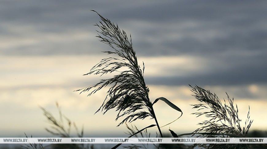 Фота з архіва