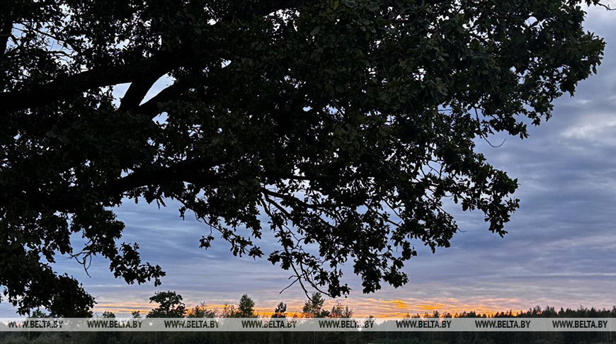 Фота з архіва