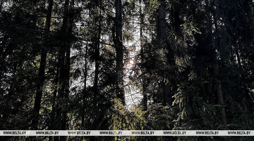 Фота з архіва