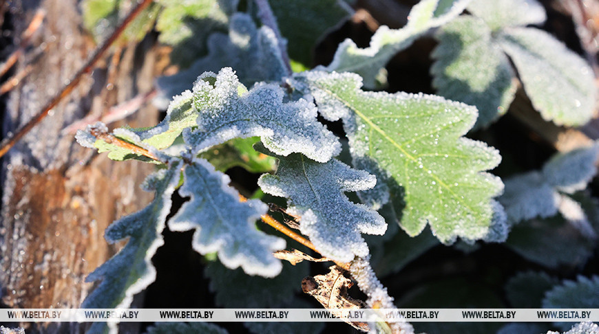 Фота з архіва