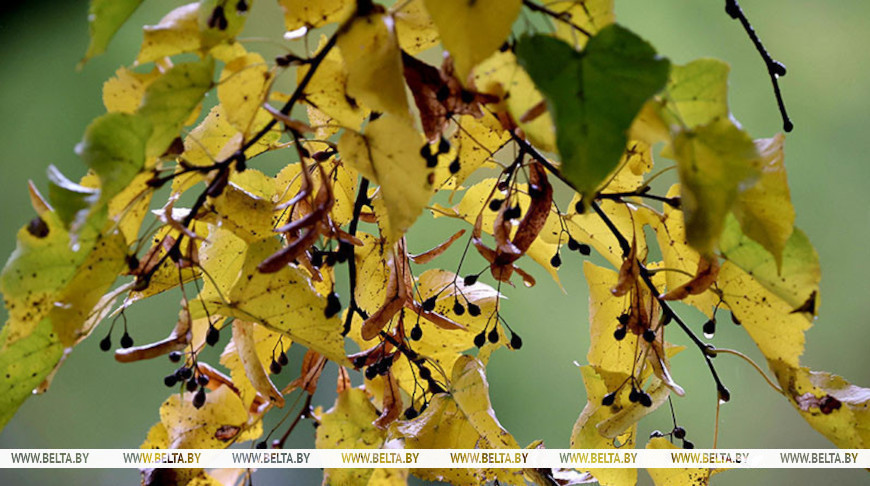 Фота з архіва