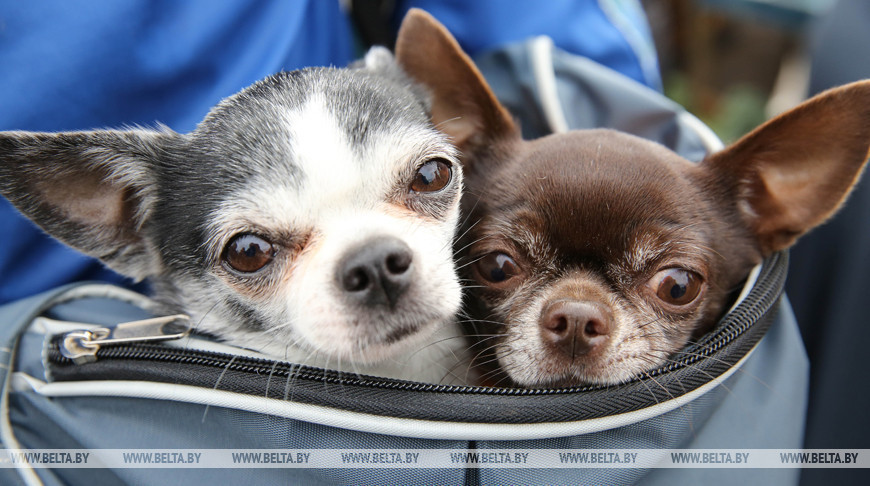 Фота з архіва
