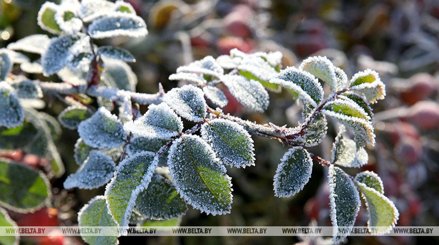 Фота з архіва