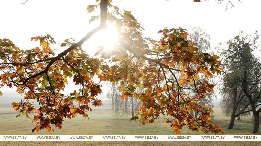 Фота з архіва