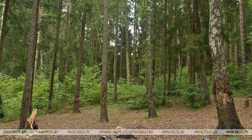 Фота з архіва