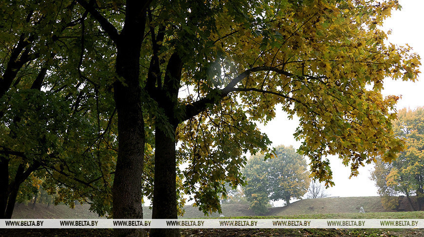 Фота з архіва