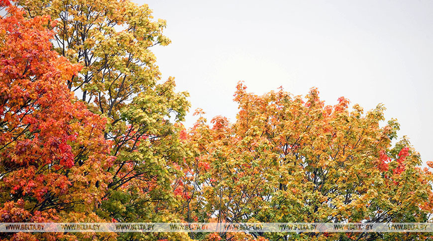 Фота з архіва