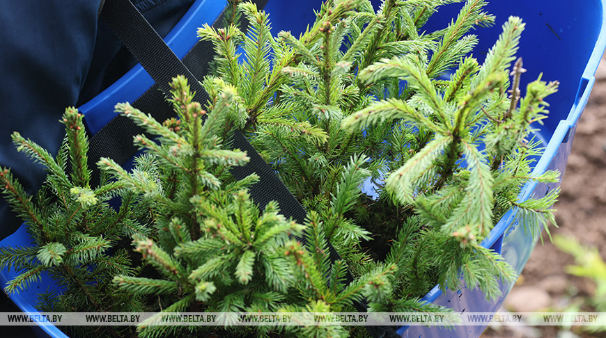 Фота з архіва