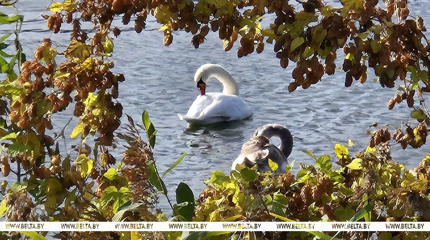 Фота з архіва