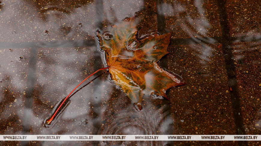 Фота з архіва