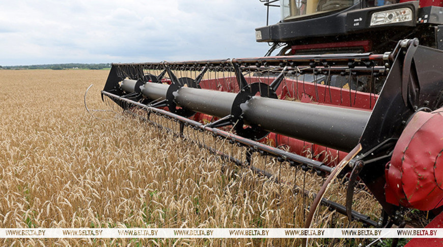 Фота з архіва