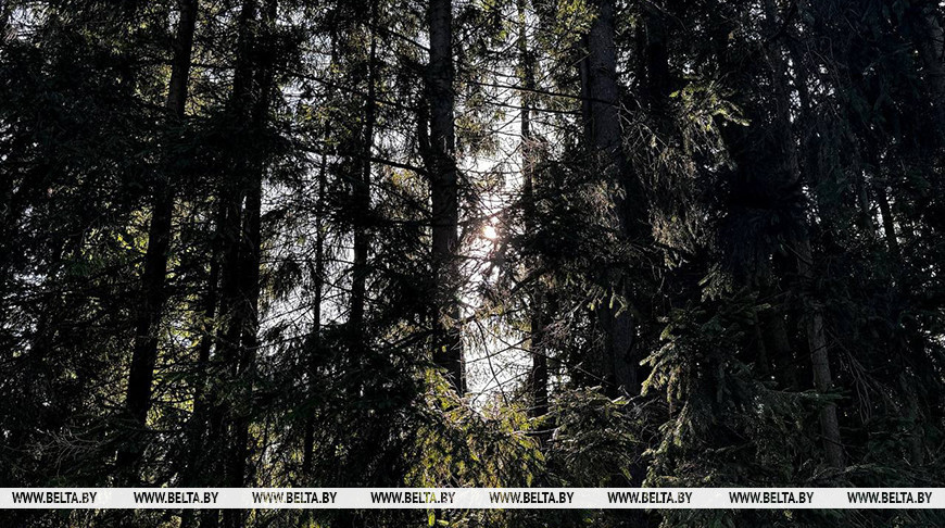 Фота з архіва