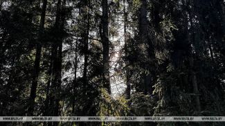 Фота з архіва