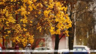 Фота з архіва