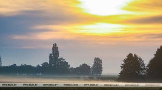 Фота з архіва