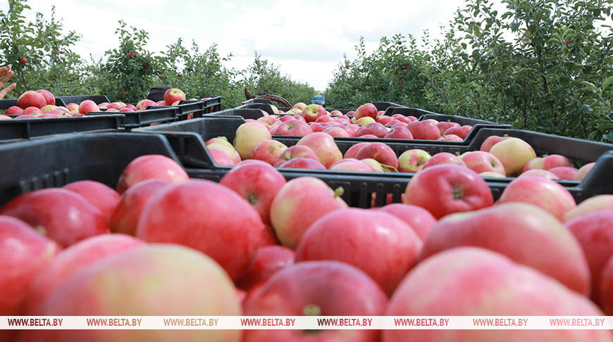 Фота з архіва