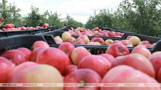 Фота з архіва