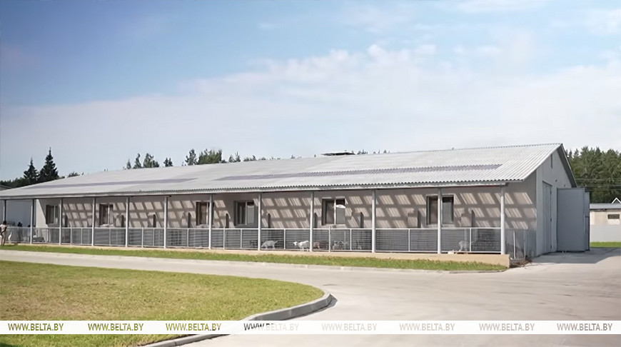 Скрыншот відэа