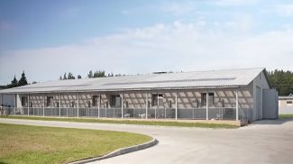 Скрыншот відэа