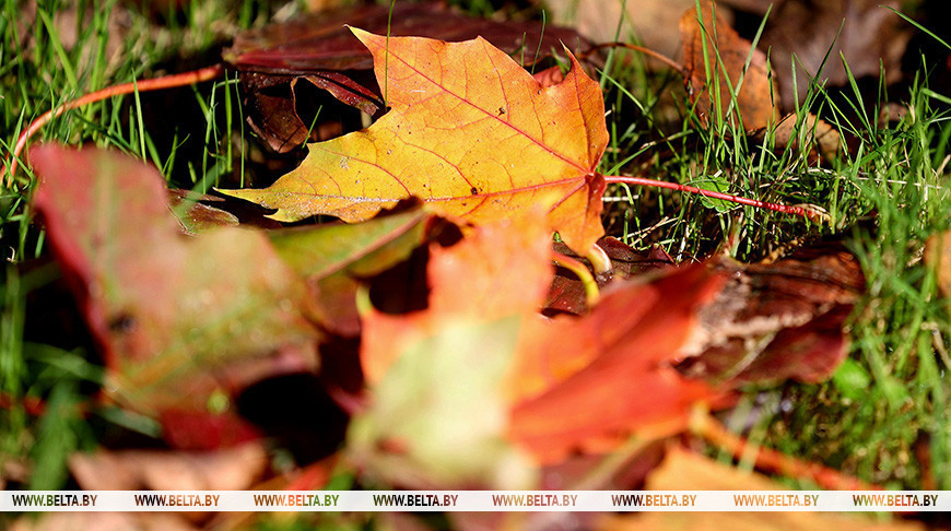 Фота з архіва