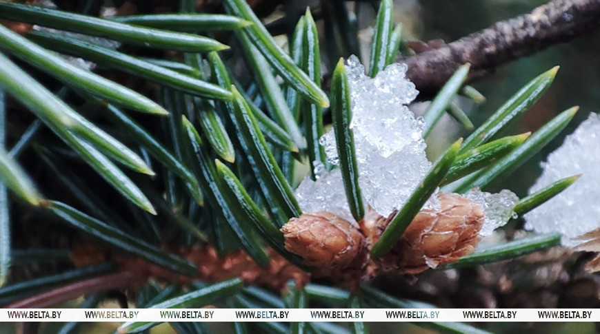 Фота з архіва