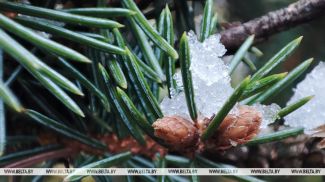 Фота з архіва