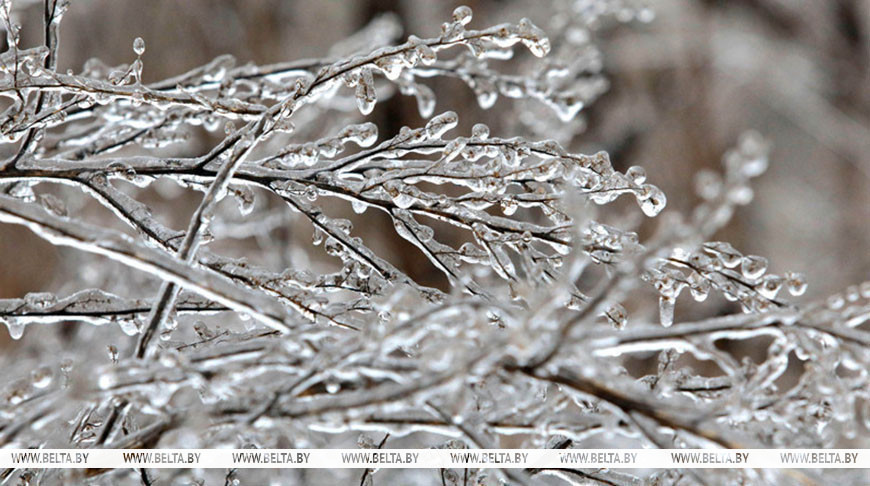 Фота з архіва